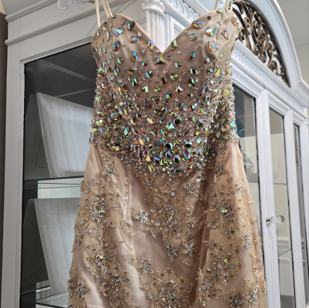 Morilee beaded corset full length dress.